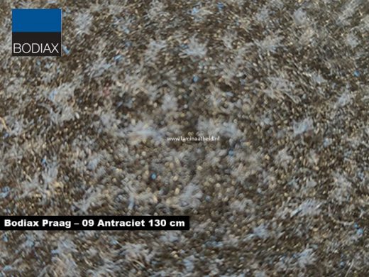 Bodiax Praag schoonloopmat - 09 Antraciet 130 cm