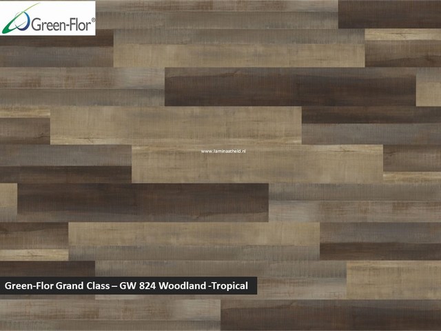 Green-Flor Grand Class - Woodland - Tropical GW824