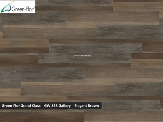 Green-Flor Grand Class - Gallery - Elegant brown GW856