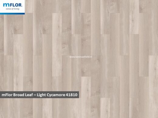 mFlor Broad Leaf - Light Sycamore 419910