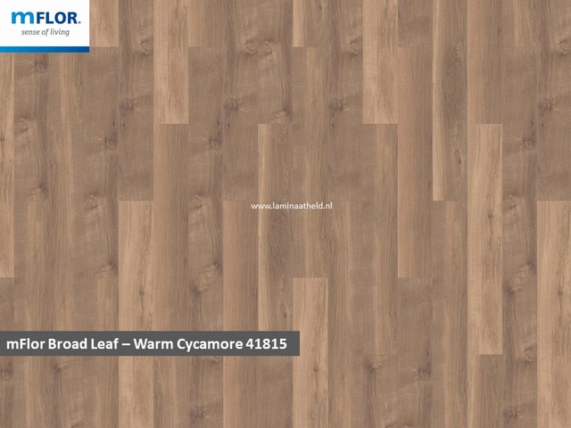 mFlor Broad Leaf - Warm Sycamore 419912