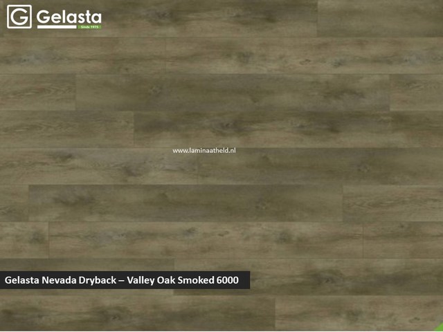 Gelasta Nevada dryback - Valley Oak Smoked 6000